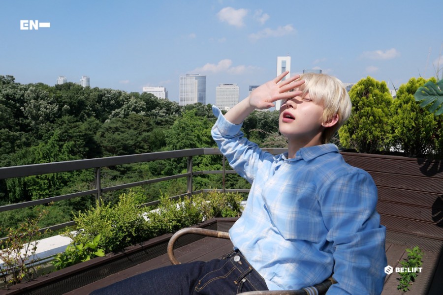 선우조명 이미지