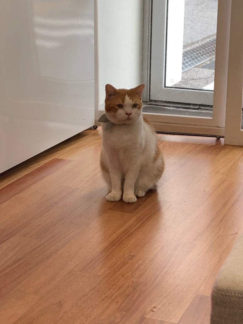 MUNE(무네) 이미지