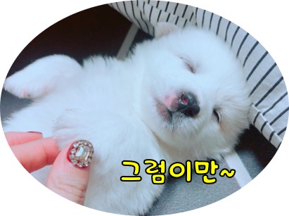 하품스 베이크(hapoom's bake) 이미지