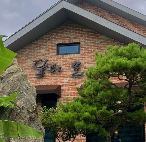 달빛든솔 이미지