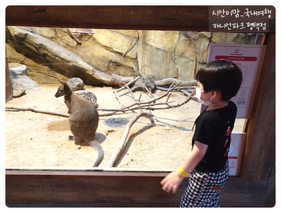 메종몽생 이미지