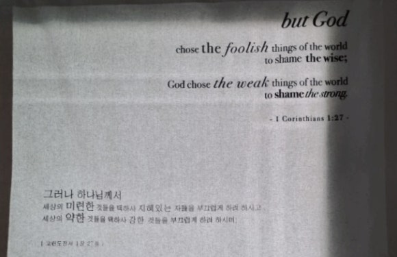 벗갓 이미지