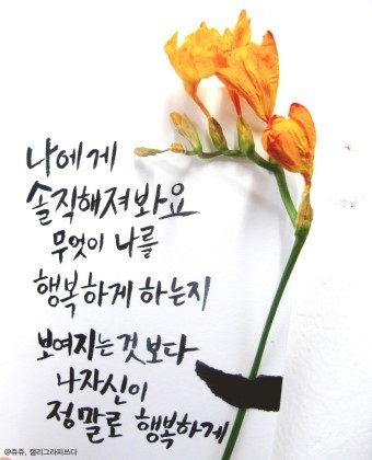 용식품 이미지