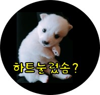 하품스 베이크(hapoom's bake) 이미지
