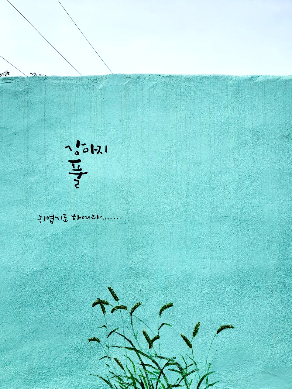 삼칠농협 하나로마트 이미지