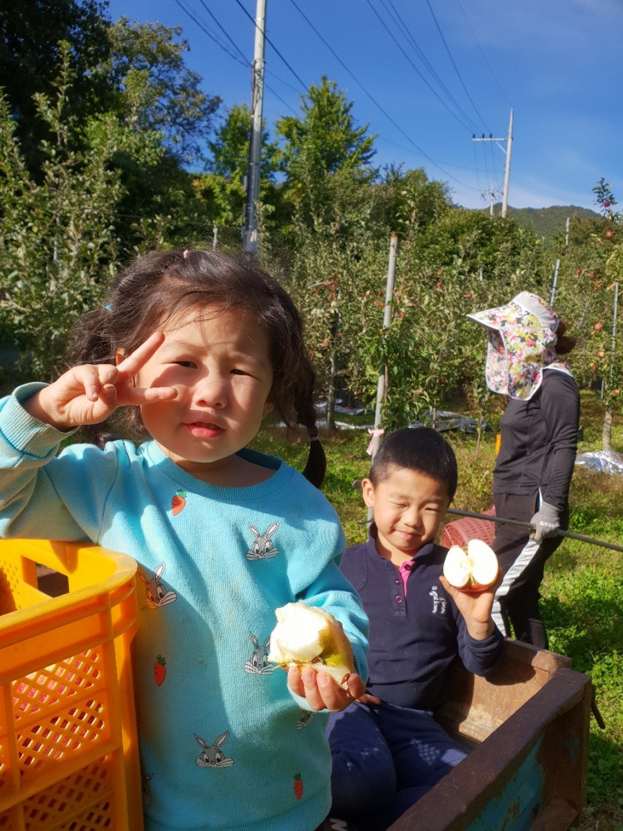 큰골농원 이미지