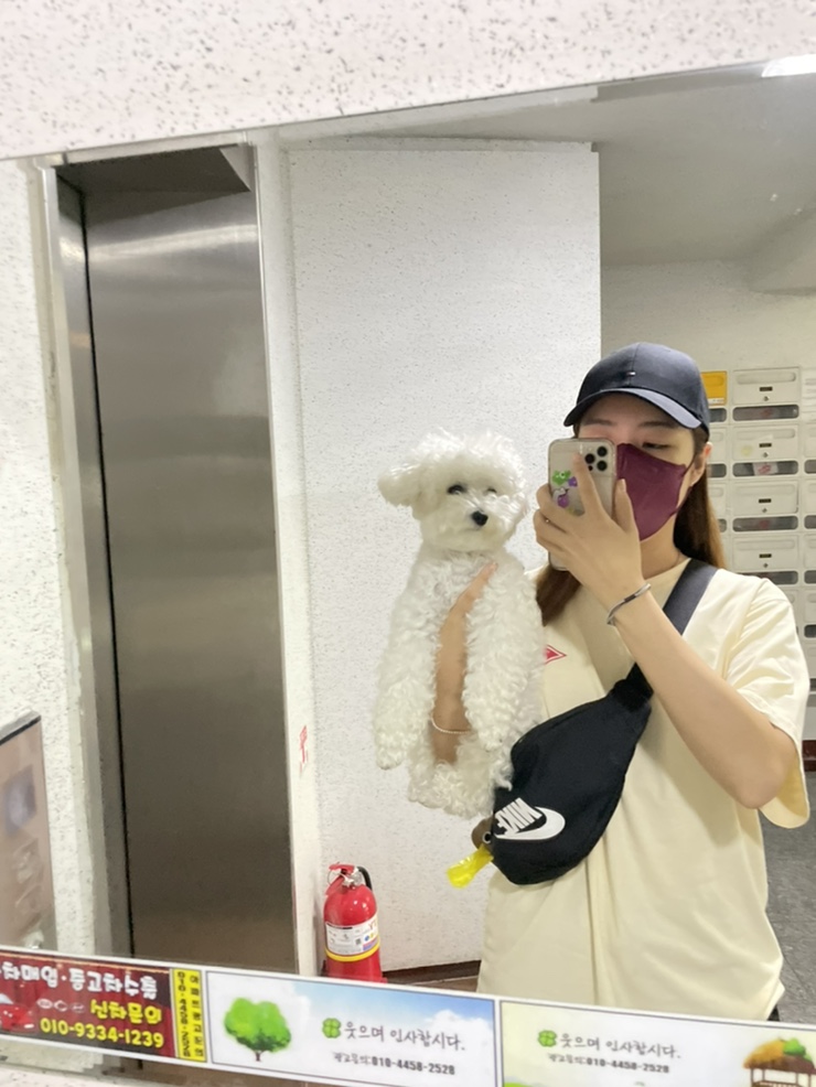 젤라이프 이미지