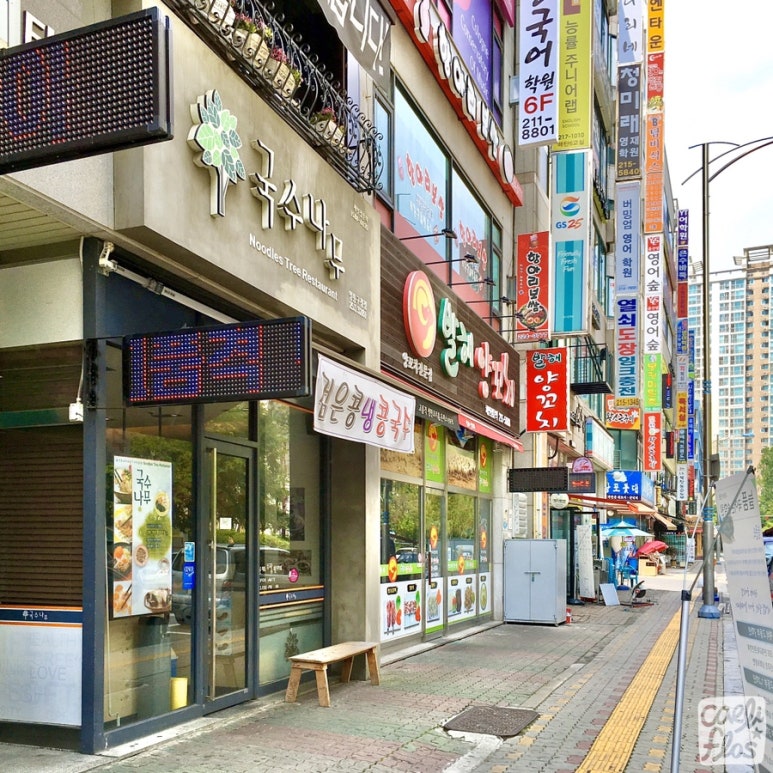 던킨도너츠영통 이미지
