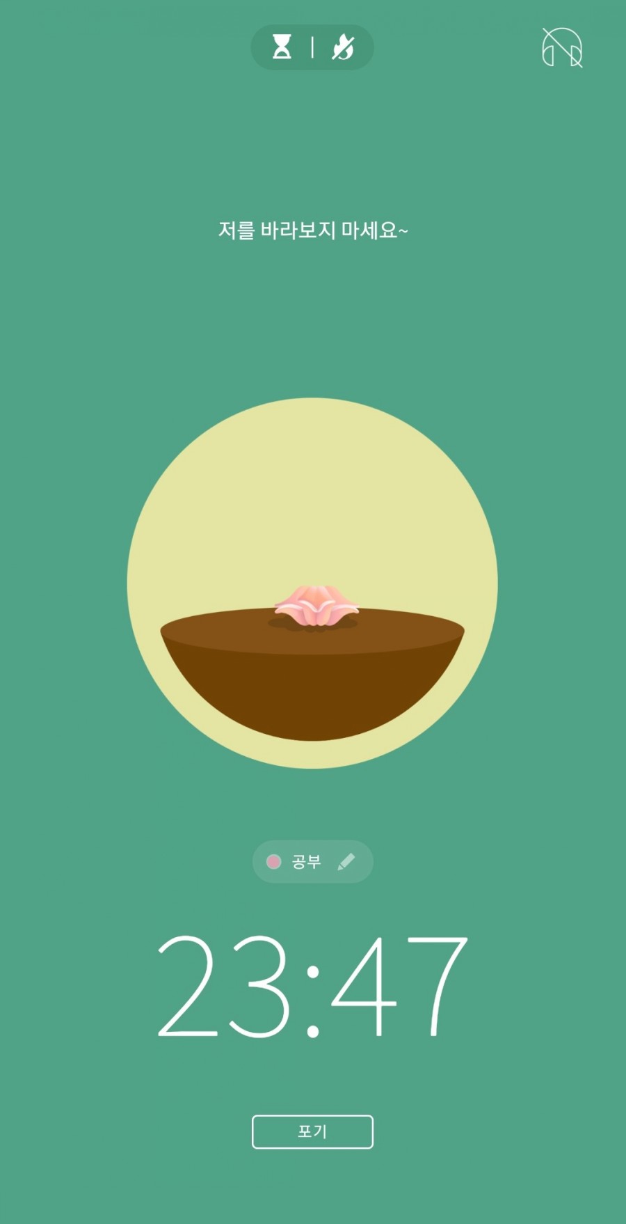 포레스트(forest) 이미지
