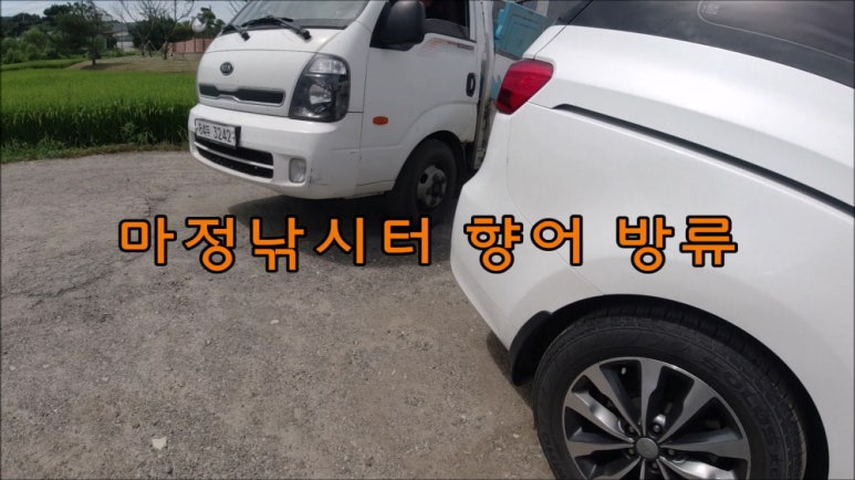 오늘은향어 이미지
