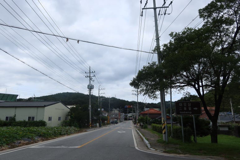 법전카페 이미지