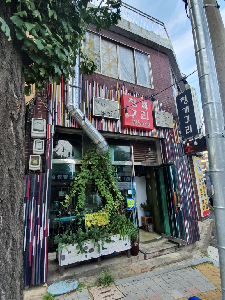 청개구리바베큐 이미지