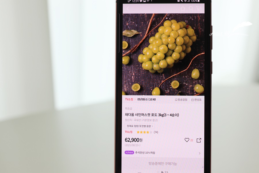 채다움 이미지