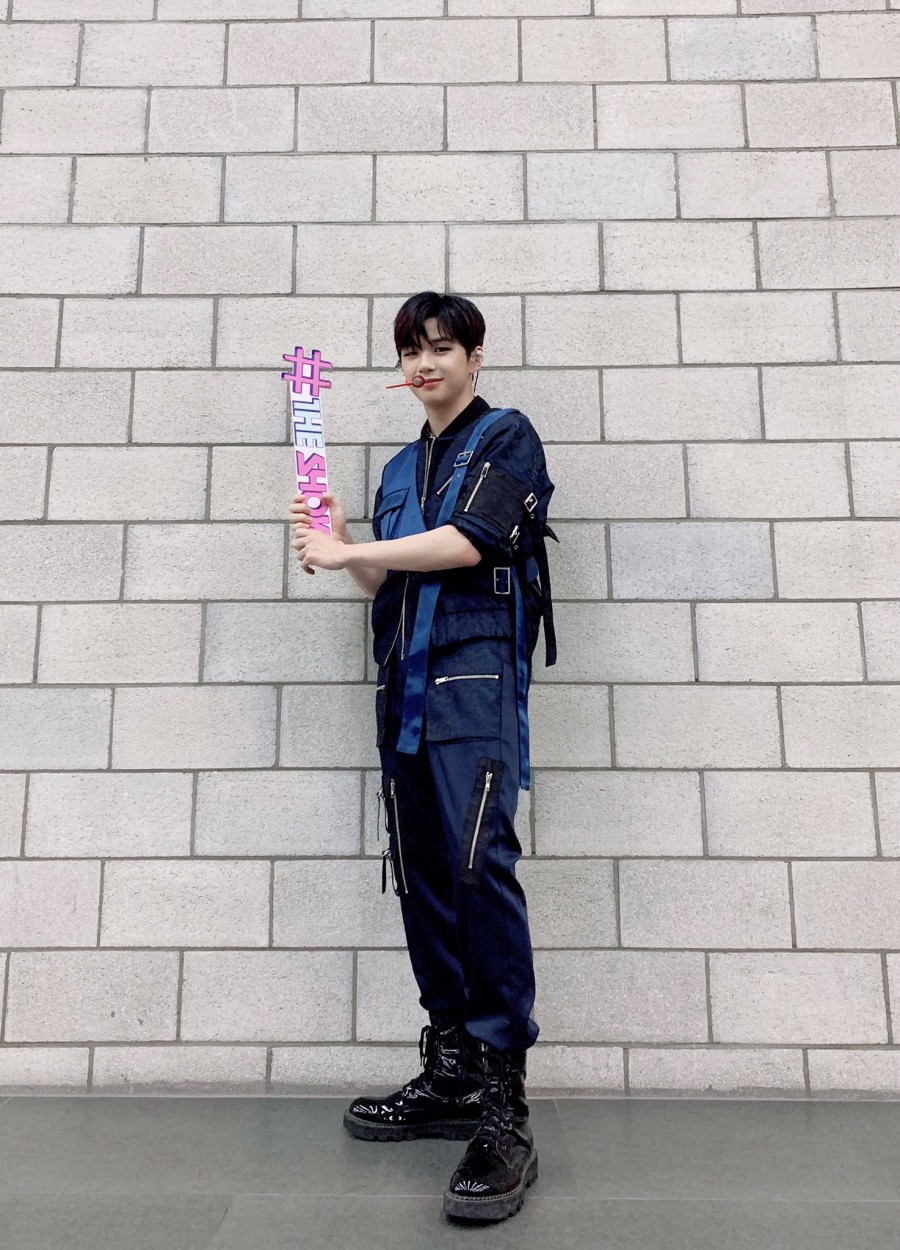 마젠타 이미지