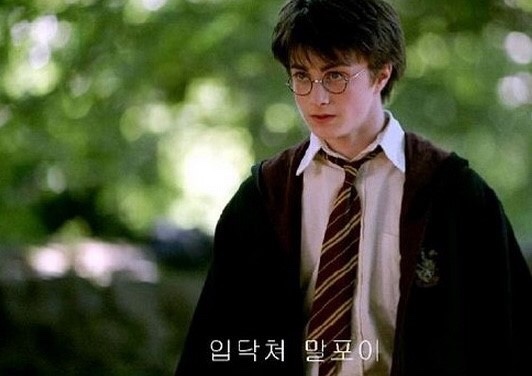 타로카페베르 이미지