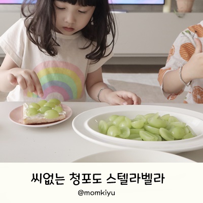 벨라인터네셔널 이미지