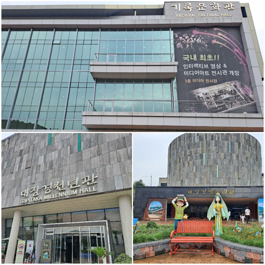 합천명품토종흑돼지 이미지