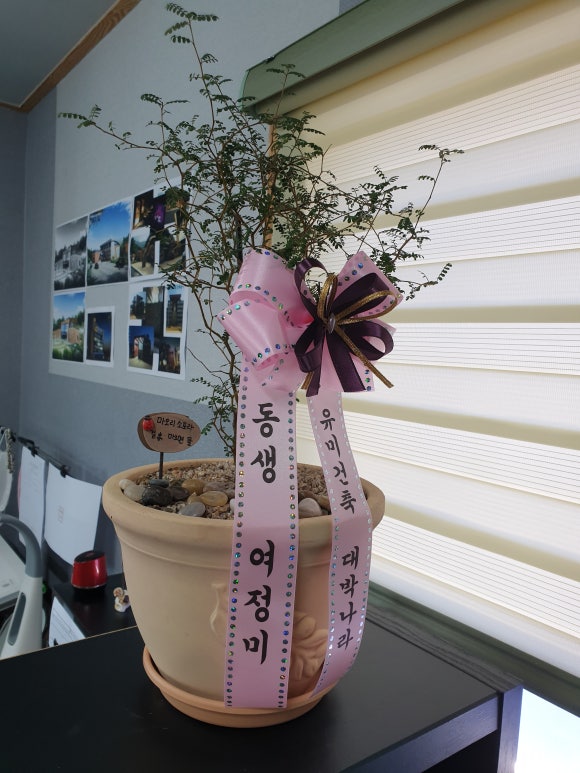 건축사사무소미가 이미지