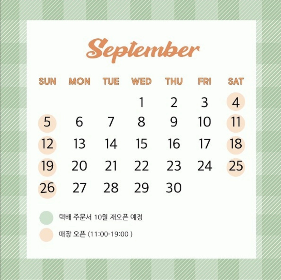 미딧 이미지