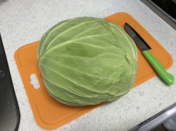 서울특별시청 구내식당 이미지