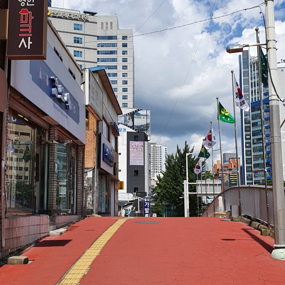 플랜트휴먼 이미지