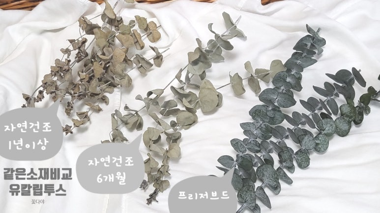 란플라워 이미지