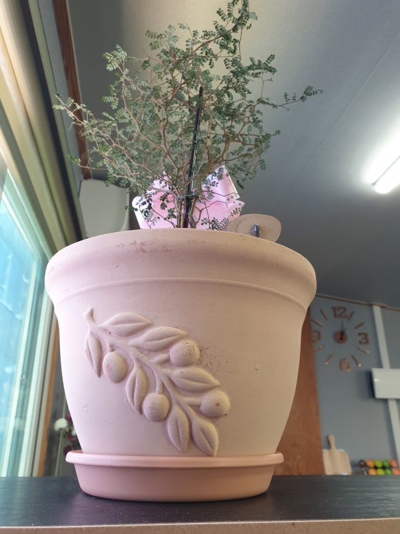 건축사사무소미가 이미지