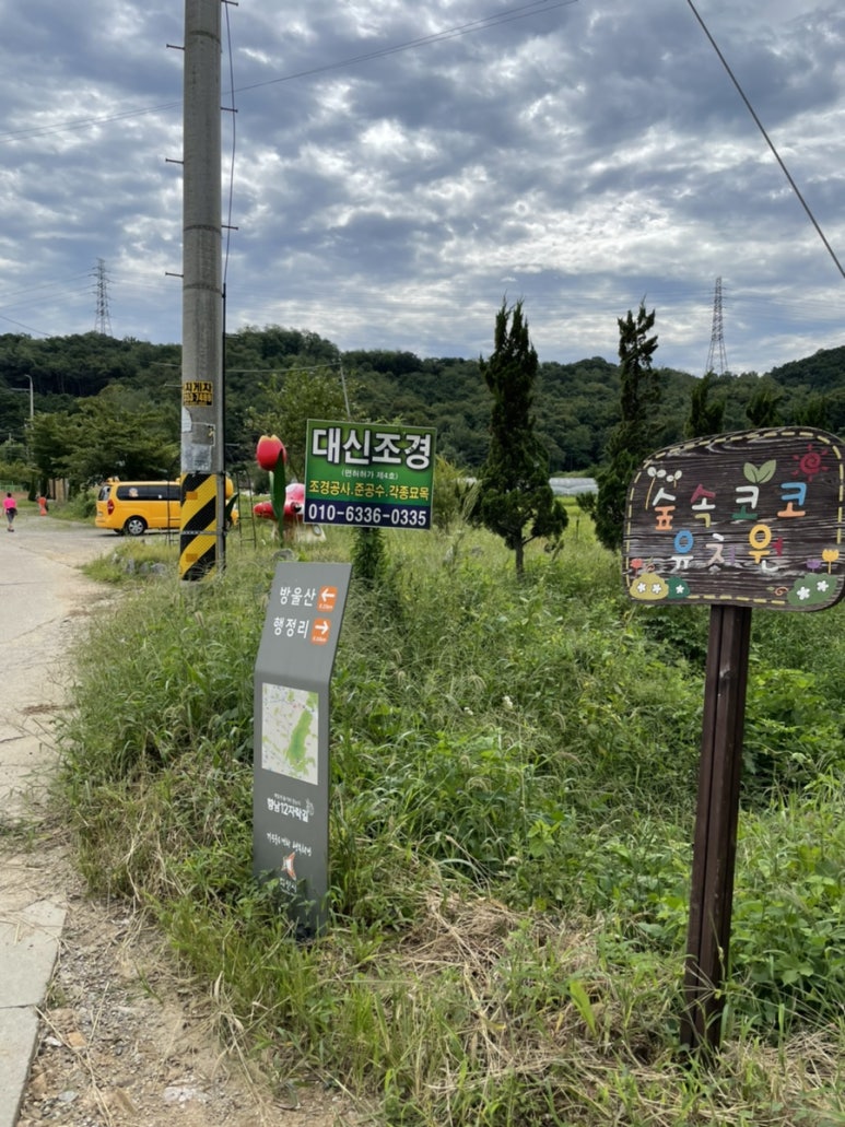 숲속코코유치원 이미지