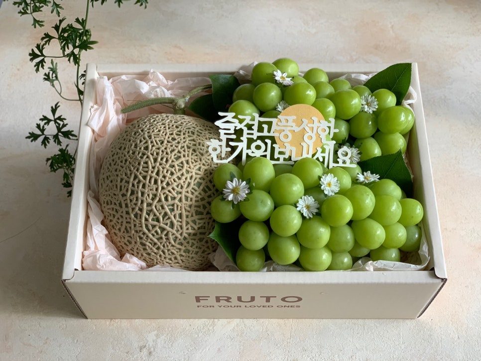 메이팜스 이미지