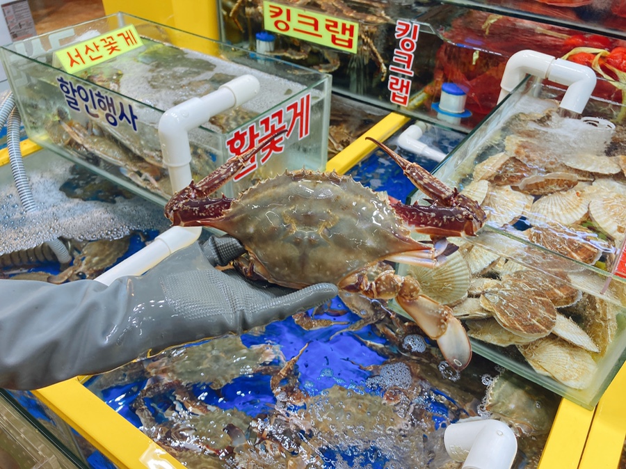 은하유통 이미지