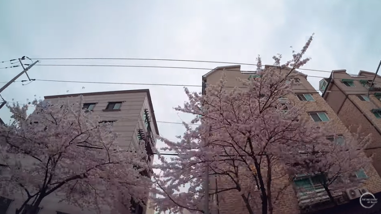 소소전파사 이미지