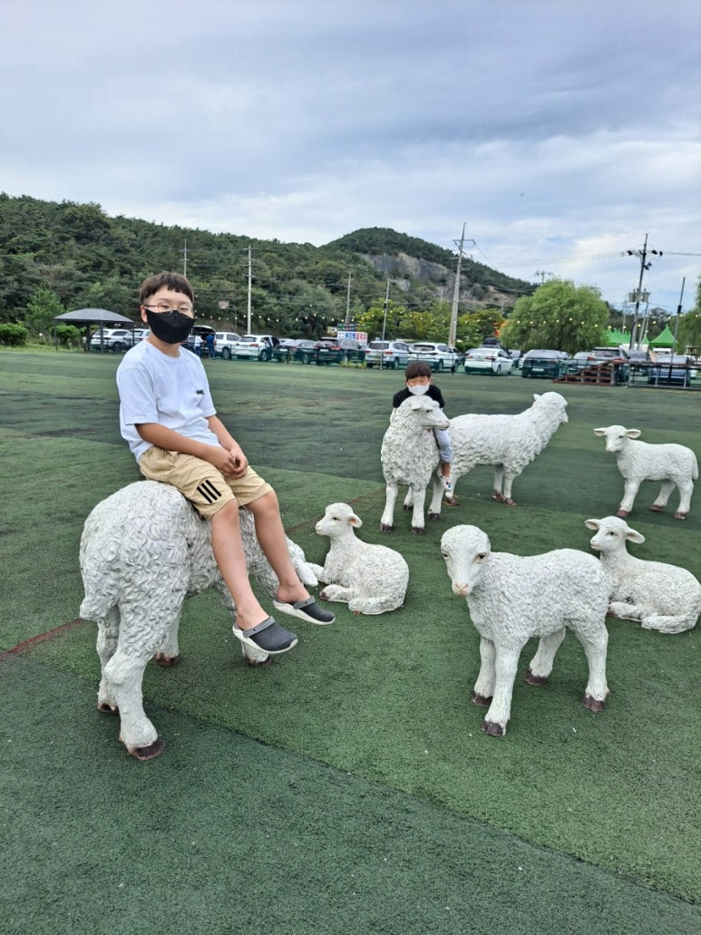 새싹바지락칼국수 이미지