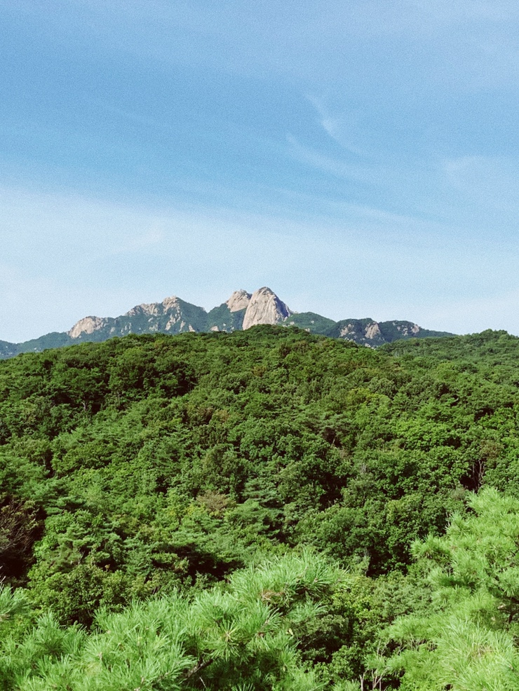 산노루 이미지