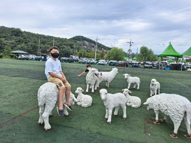 새싹바지락칼국수 이미지