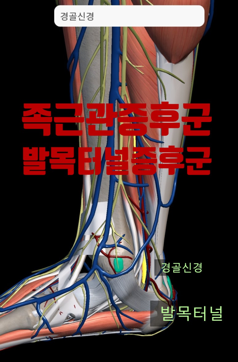 엔한의원 이미지
