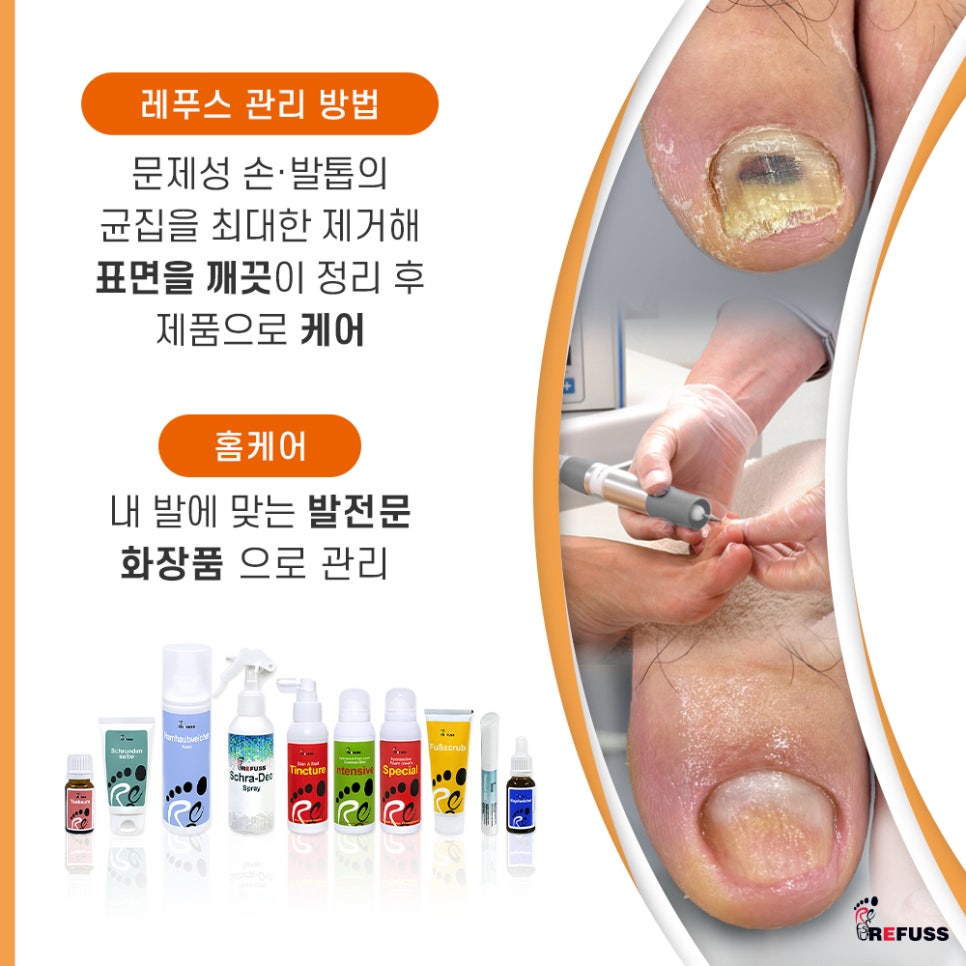 레푸스익산 이미지