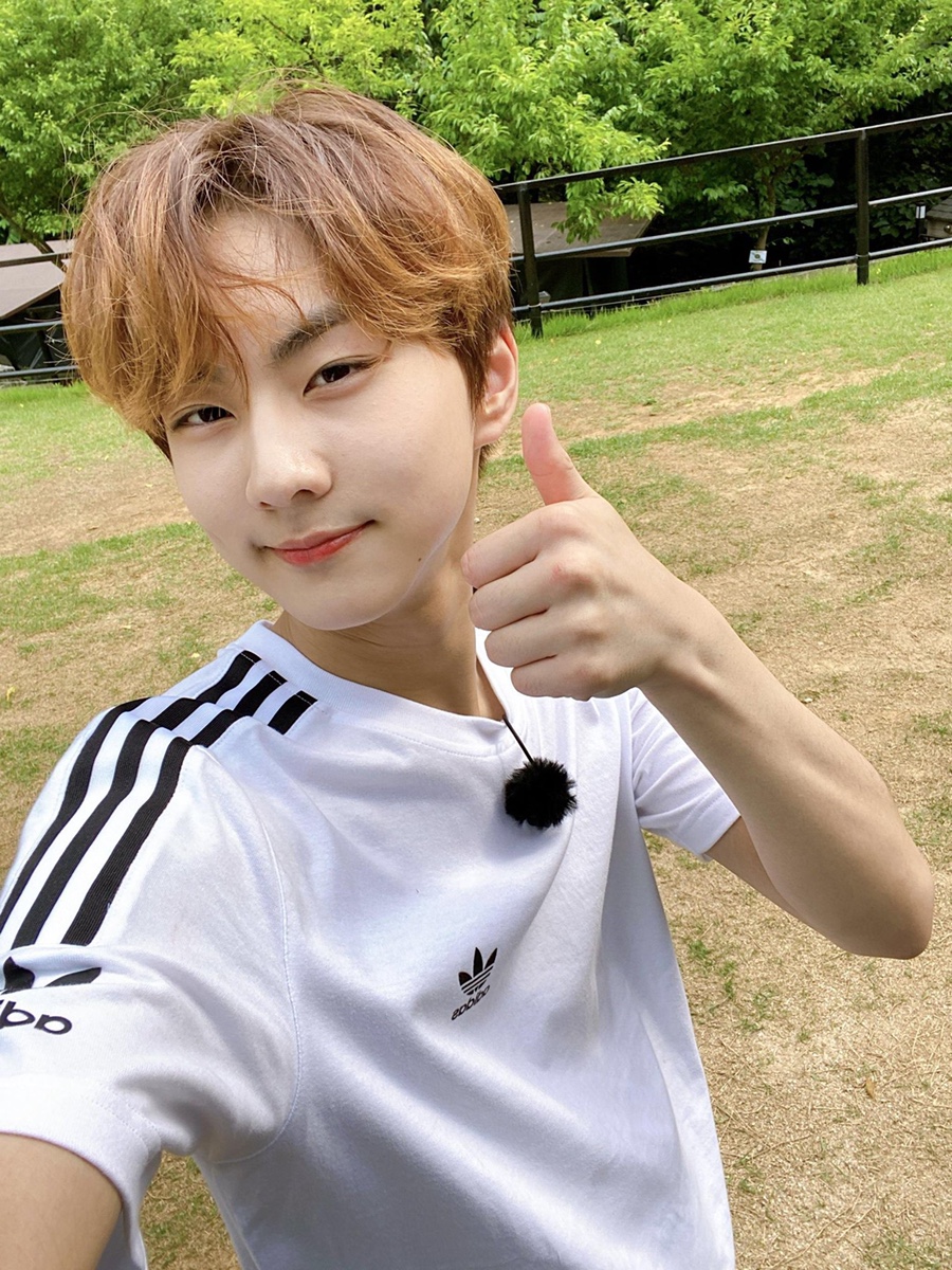 #정원 이미지