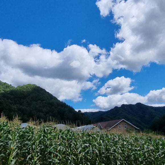 싸리목캠핑장 이미지