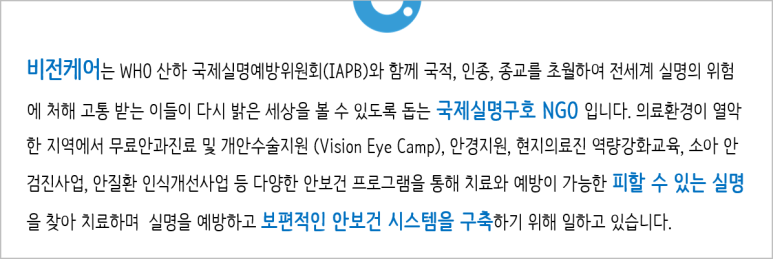 세무법인비전택스 이미지