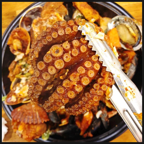 제주반딧불 이미지