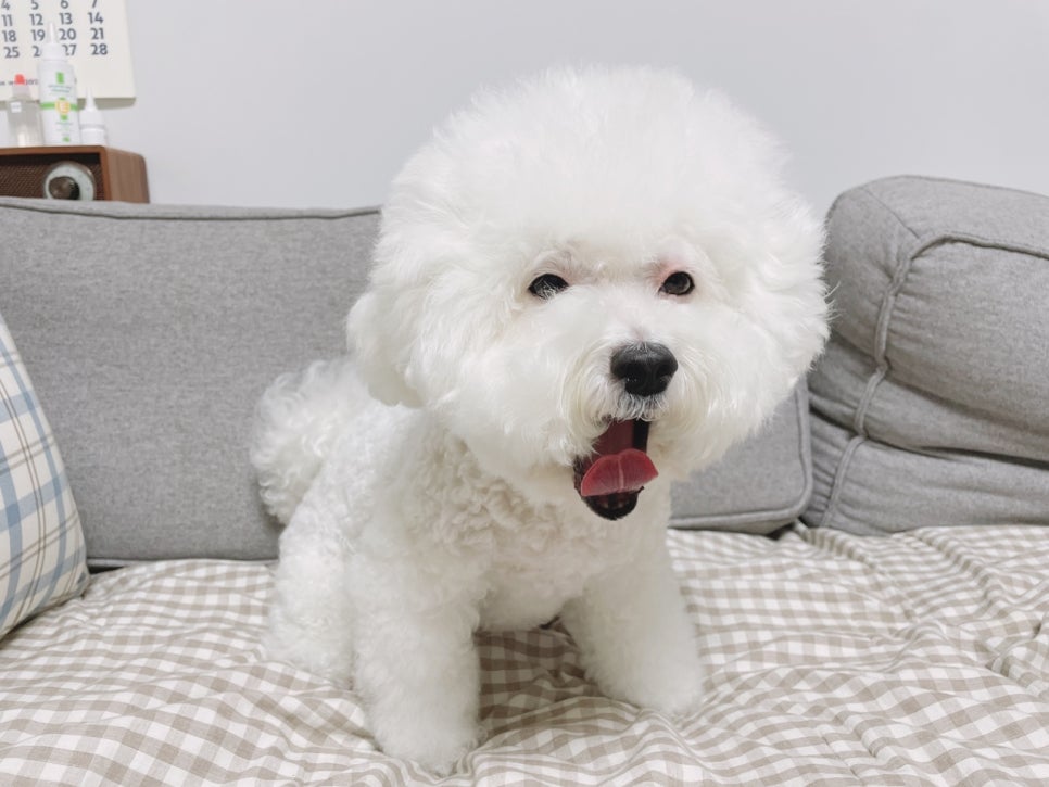 퓨어종합관리 이미지