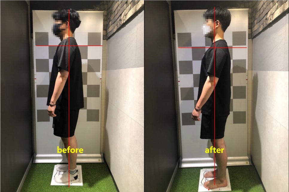 베이스오브바디 이미지
