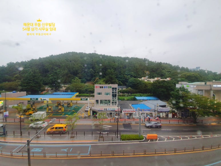 신우종합스포츠 이미지