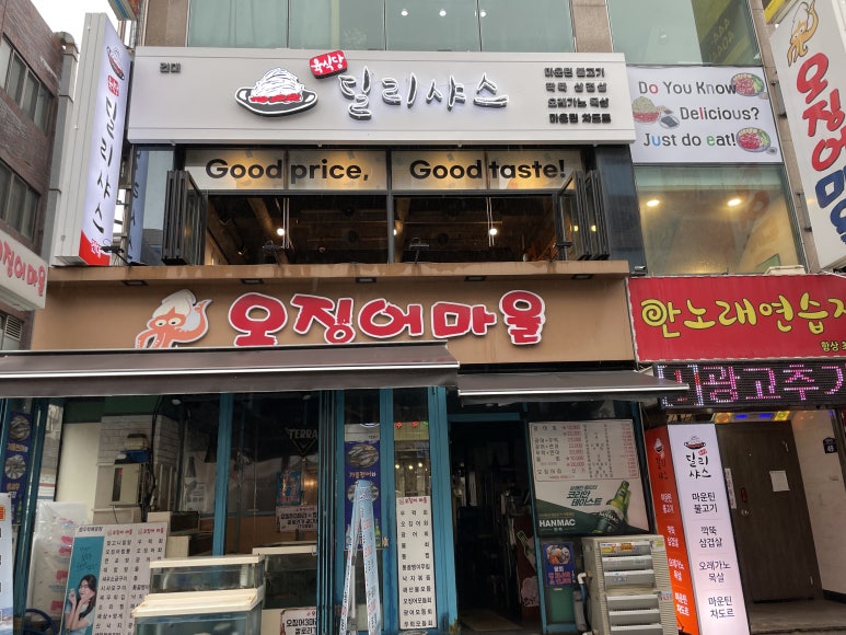 딜리고기 이미지