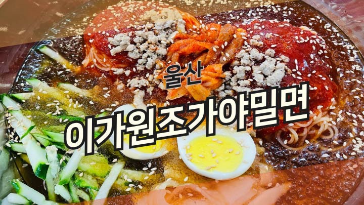 이가가야밀면 이미지