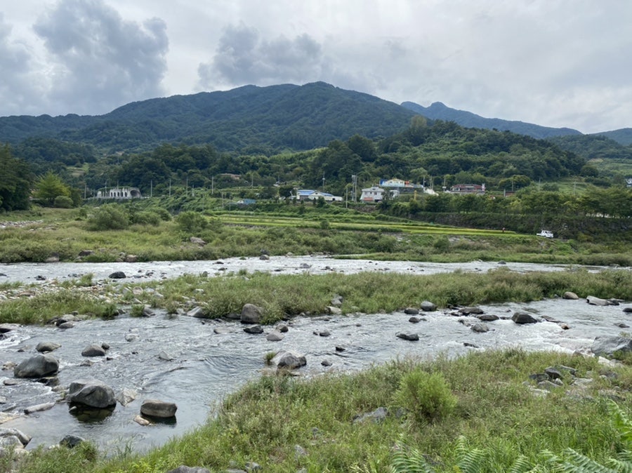 월산식육식당 이미지