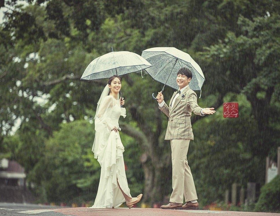 달빛오후 이미지