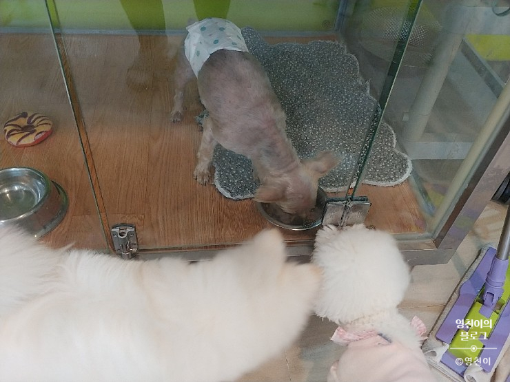 청려원 이미지