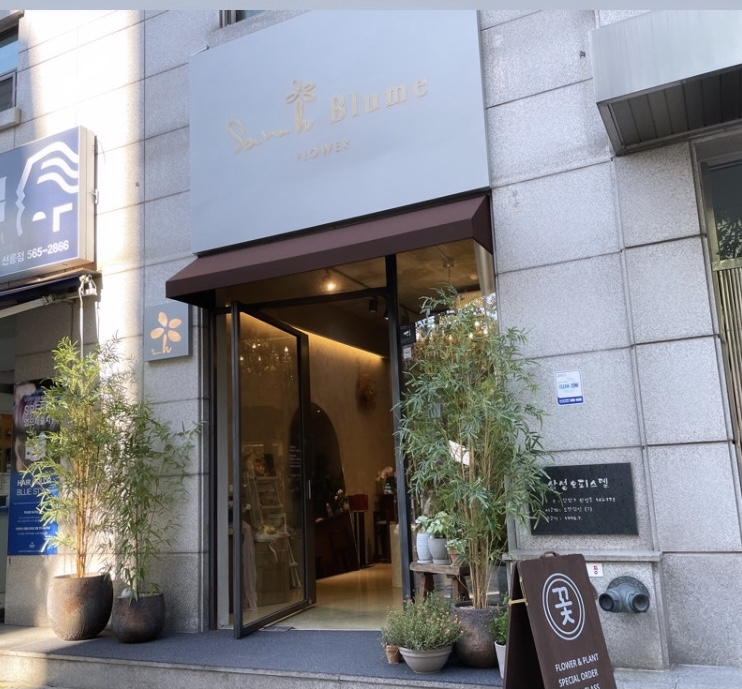 사라블루메 이미지