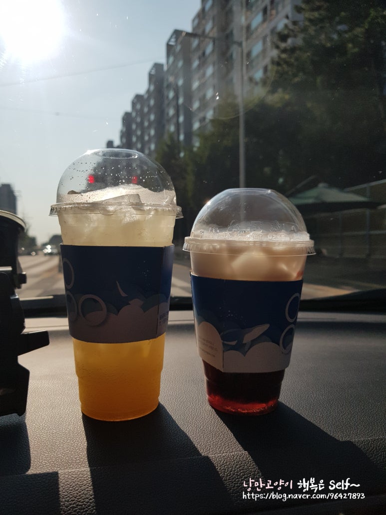 팔공티전북 이미지